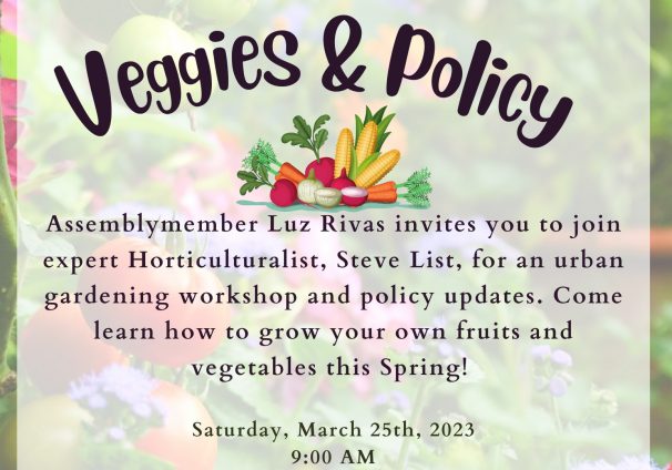 Please Join Me and Your Neighbors for a Morning that Blends DIY Urban Gardening