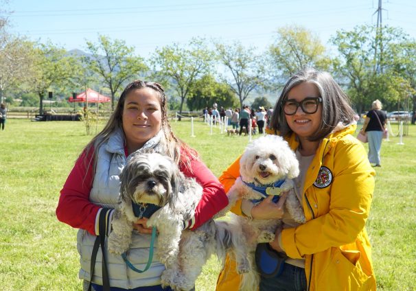 Blessing of the Animals