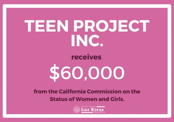 Teen Project Inc