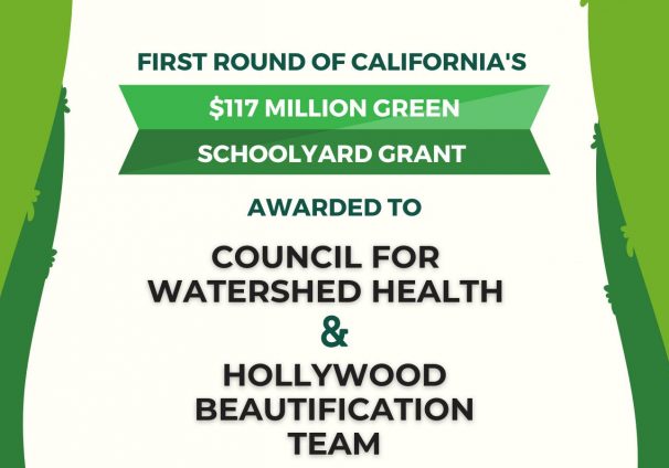 Green Schoolyard Grant Program