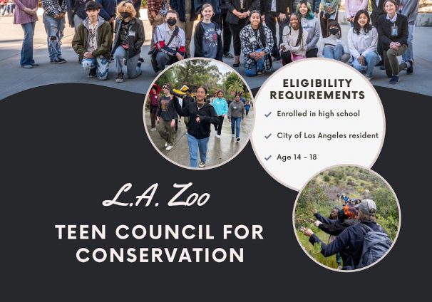 Teen Council for Conservation